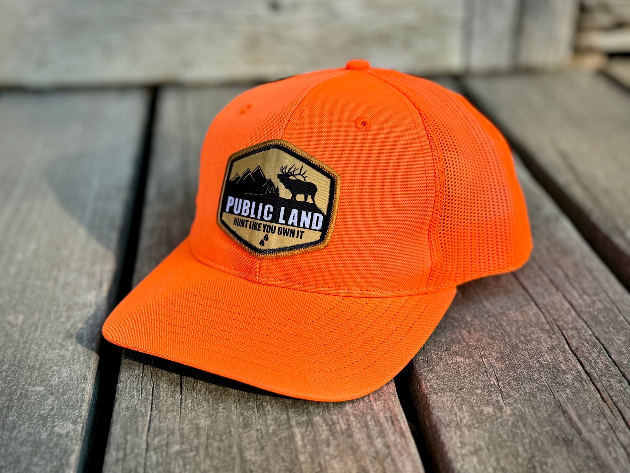 Public Lands Cap