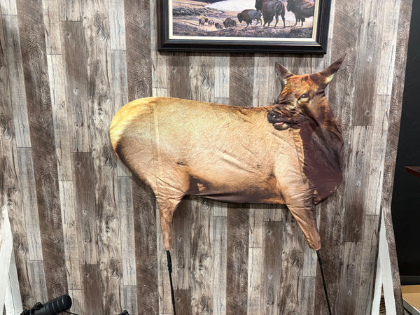 Elk Fawn - Montana Decoy